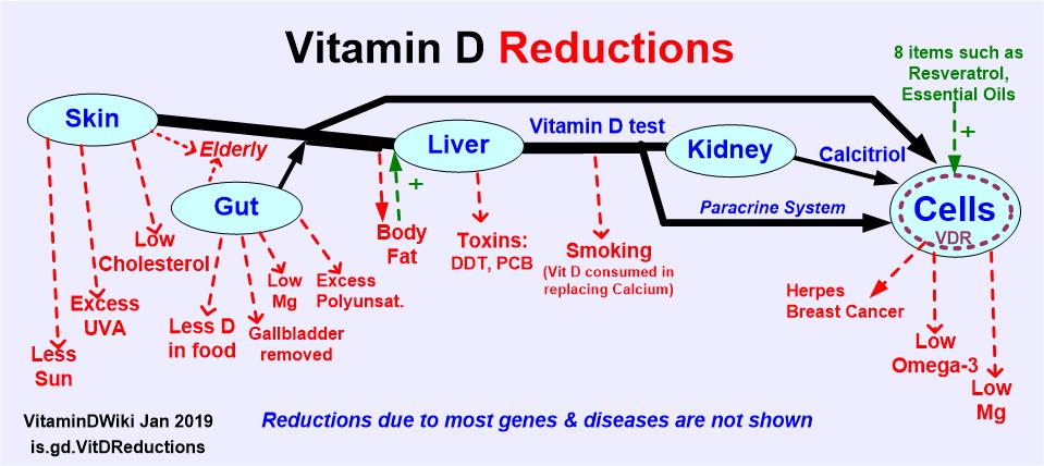 Vitamin D Reduced So Low That Victorian Age Diseases Are