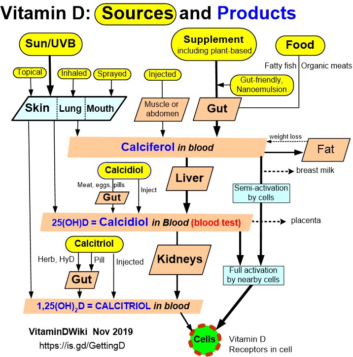 Oral Calcidiol Is A Good Form Of Vitamin D Supplementation