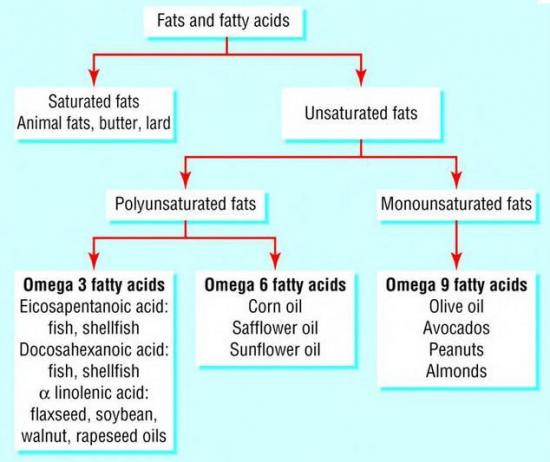 Fatty acids and Omega-3