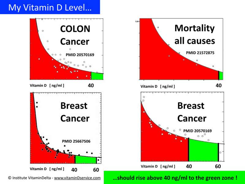 Vitamin D Life page 6544