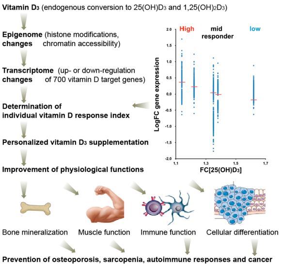 Vitamin D Nutrigenomics High Medium And Low Responders March