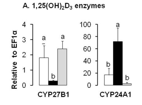 Fructose Reduces Blood Levels Of Active Vitamin D Vitamin D Life